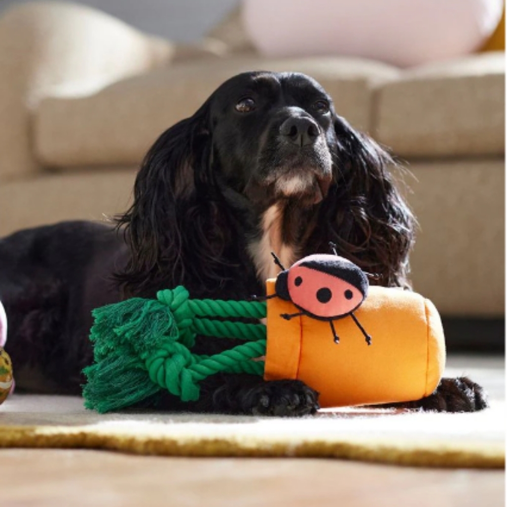 🆕Frisco Spring Plush & Rope Squeaky Dog Toy